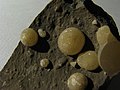Globular calcite