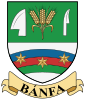 Coat of arms of Bánfa