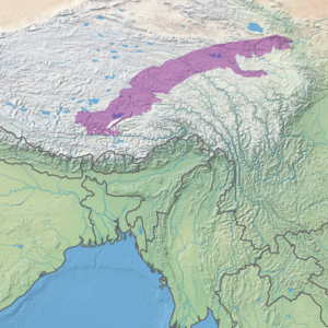 Ecoregion territory (in purple)