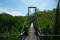 Forrest and Maxie Preston Memorial Bridge located at River, Kentucky.