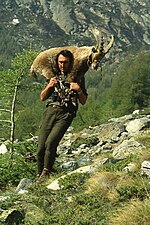 In a rocky, mountainous landscape, a dark-haired Caucasian man carries a goat-like creature with backward-facing horns on his shoulders.