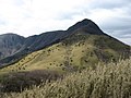 箱根山の側火山金時山