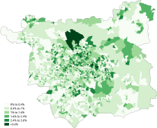 White-Irish