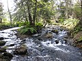 Río Landro entre Miñotos, Ourol e Xerdiz, Ourol