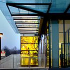 Leaves of Light, York University, Toronto, Ontario (2011)