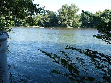 La Garonne à Roques.