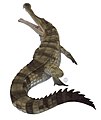 Reconstitution d'un Sarcosuchus.