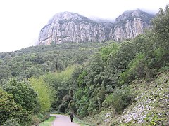 Bosque cercano a Seui.