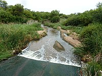 The Soutpanspruit, seen here at Tswaing, is a left bank tributary