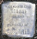 Stolperstein für eine Rommni (Thieboldsgasse 9)