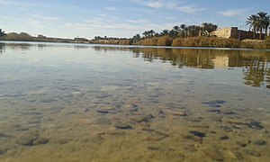 Lac de Tamacine.