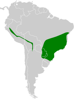 Distribución geográfica de la tangara de anteojos.