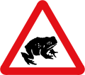 Migratory toad crossing