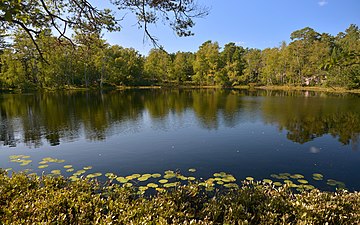 Vänern är en liten insjö på Skarprunmaren.