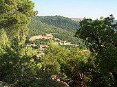 Forests surround Ajloun