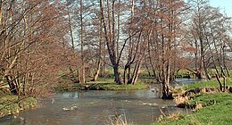 Vue de la rivière, non loin de sa confluence avec l'Arques, à Saint-Aubin-le-Cauf.