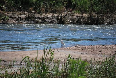 Брегалниця поблизу м. Кочани і с. Зрновці