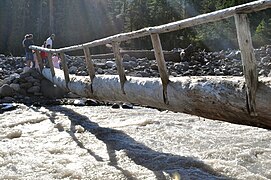 Log bridge over the Nisqually River, United States, made of one large log with handrail