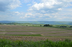 Countryside just east of Shoaf