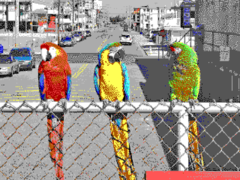 Simulated image as displayed using Tandy Video I / PCjr 320 × 200 mode with 16 colors