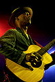 Image 32Eric Bibb, 2006 (from List of blues musicians)
