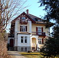 Villa Steidele