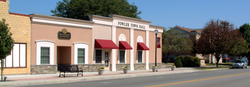 Fowler's police department, town hall and public library