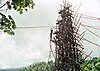 A tower built of wooden scaffolding around a lopped tree tied together with vines, two men stand on an upper platform one of them with vines tied around his ankles getting ready to dive