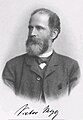 Viktor Meyer, vers 1880.