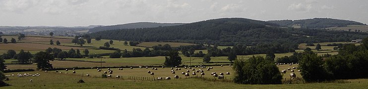 Panorama dans le sud-Morvan.