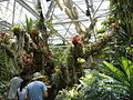 Lucile Halsell Conservatory (Palm & Cycad Pavilion Interior)