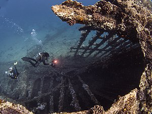 צוללן חוקר את הריסות האונייה הטרופה SS Carnatic בים האדום, מצרים
