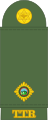 Second lieutenant (Trinidad and Tobago Regiment)[40]