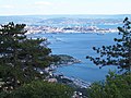 Trieste seen from the Carso