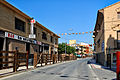 Paseo de Ribera en fiestas en Valtierra, Ribera de Navarra