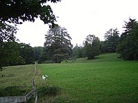 Vue du parc de Maubourg.