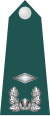 Junior lieutenant