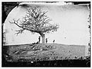 "קבר בודד" תמונה של אלכסנדר גרדנר קבוצת חיילי האיחוד ליד קבר חברם.