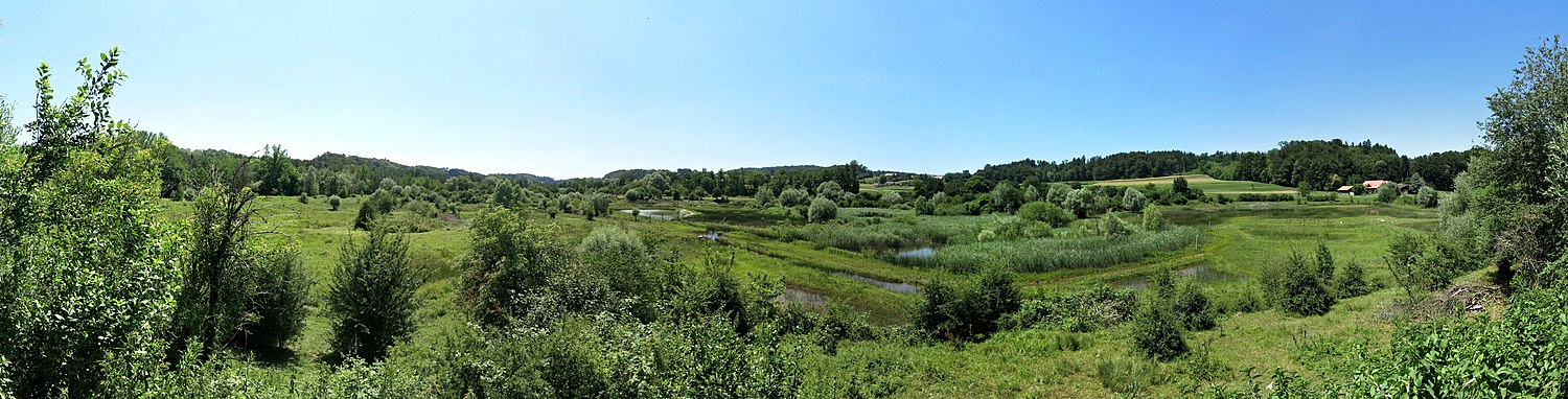 Panorama vom Champ Pittet-Turm