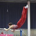 Performed by Evgeny Siminiuc at the Austrian Future Cup 2018