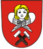 Coat of arms of Břidličná