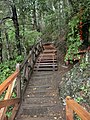 Trail along the slope of the falls at Huilo-Huilo