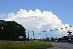 Looking east from the intersection of Goodes Ferry and Old St. Tammany Roads near Bracey