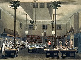 Kitchen with palm tree cast iron columns, Royal Pavilion, Brighton, c. 1820