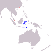 Sulawesi and the Lesser Sunda Islands. Introduced to Singapore and Hong Kong