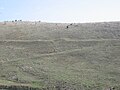 Vista de uno de los campamentos legionarios de los tres identificados durante el asedio que sufrió el castro. Detalle de puerta en clavícula y parte de la circunvalación que lo rodeaba.