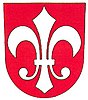 Coat of arms of Čestín