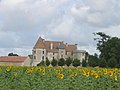 Le château de Rioux.