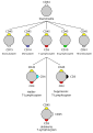 Vector image with labels in German