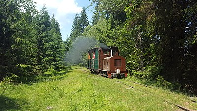 Touristenzug mit Feldbahnlok LKM Ns 2 h auf dem erhaltenen Teilstück des oberen Abschnittes bei Comandău (Juni 2018)